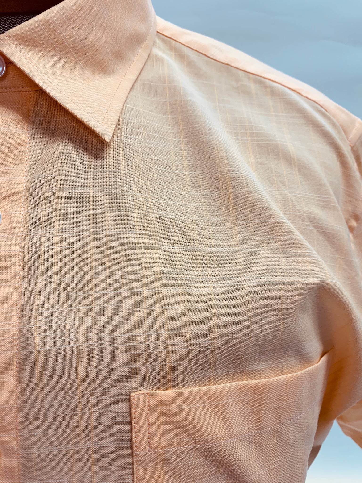 Giovanni’s Cotton Short Sleeve Button Down Shirt WSS2210